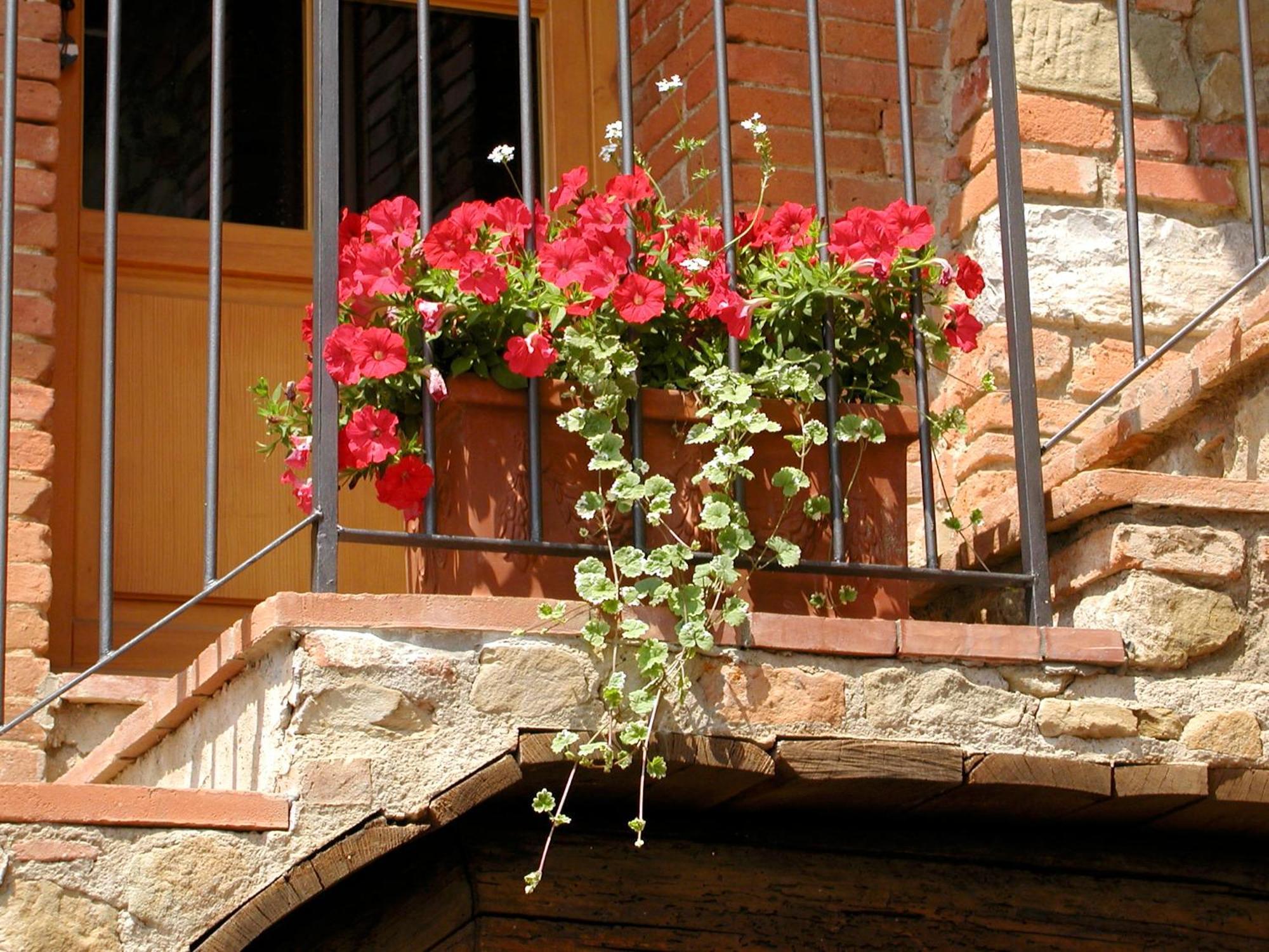Ventena Vecchia Antico Frantoio Montevarchi Exterior foto
