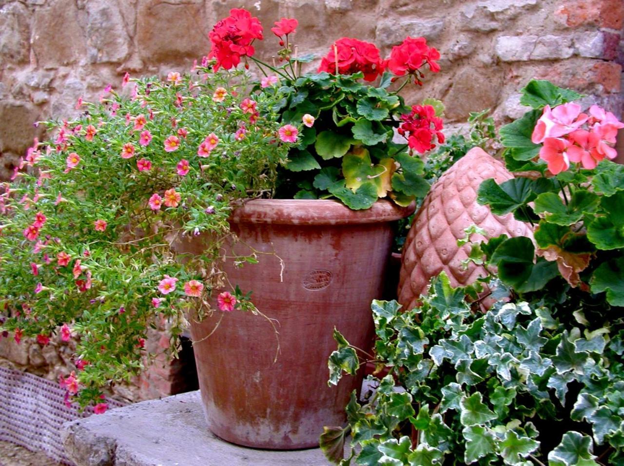 Ventena Vecchia Antico Frantoio Montevarchi Exterior foto