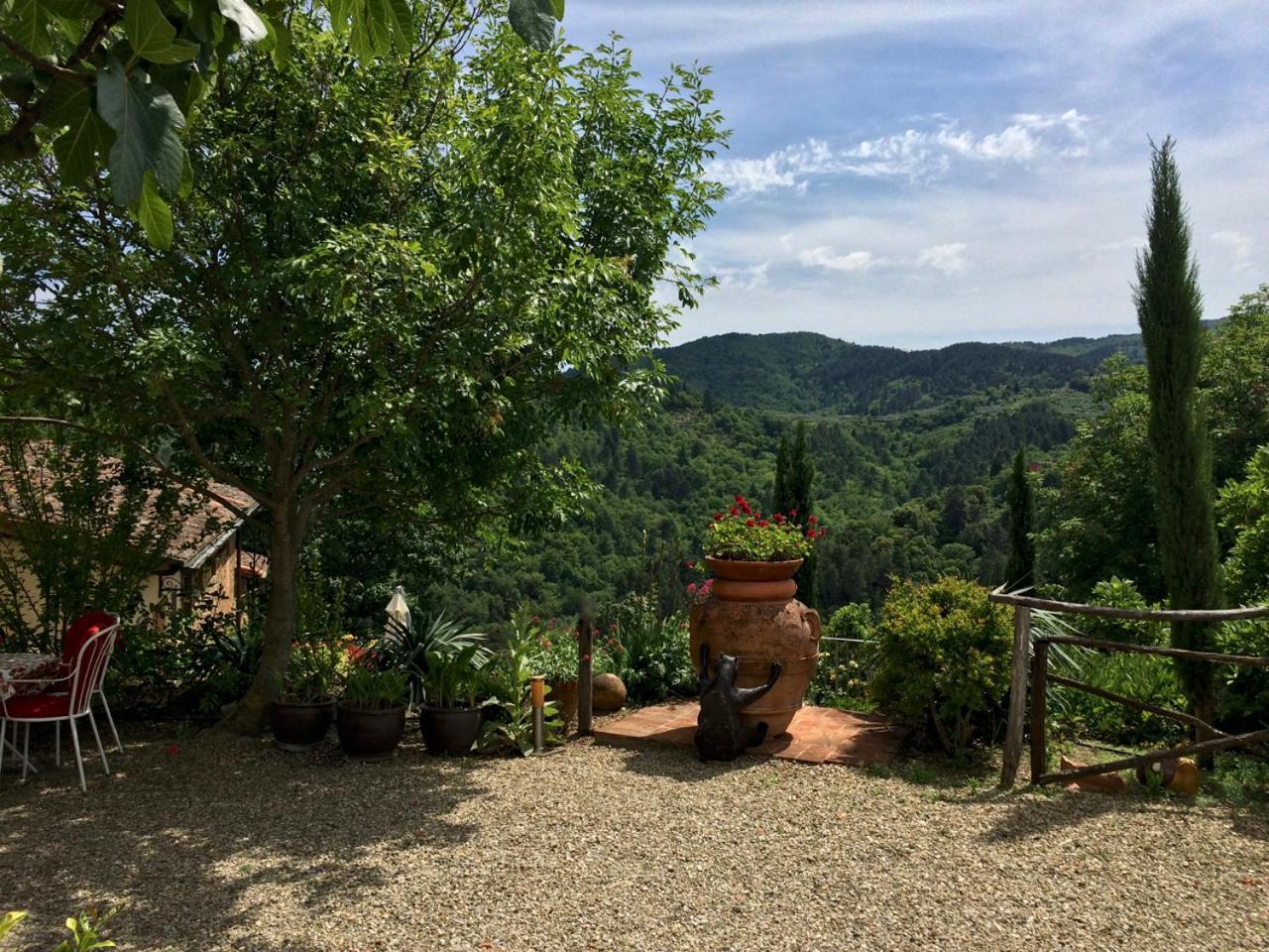 Ventena Vecchia Antico Frantoio Montevarchi Exterior foto