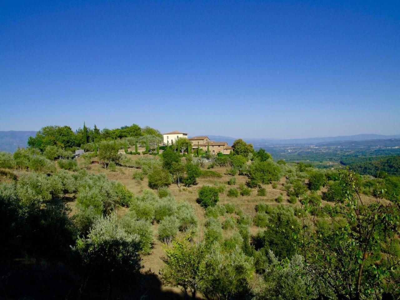 Ventena Vecchia Antico Frantoio Montevarchi Exterior foto